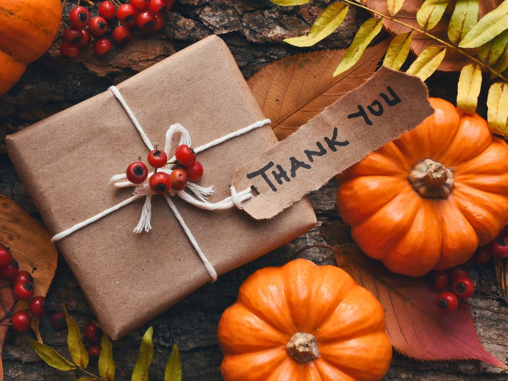 Thanksgiving Gift Guide - Zulay Kitchen