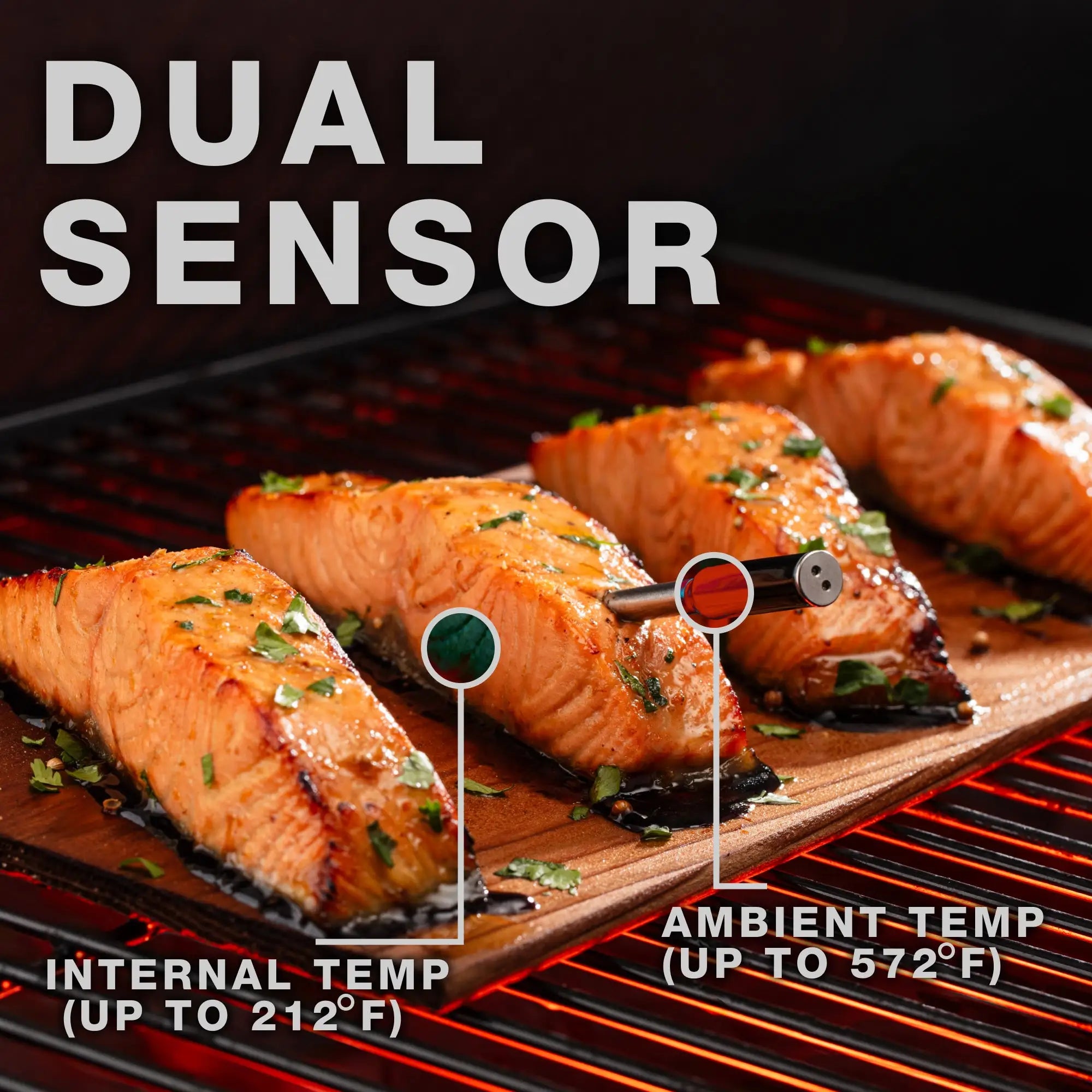 Salmon fillets on a grill with dual sensor labels for internal and ambient temperature.