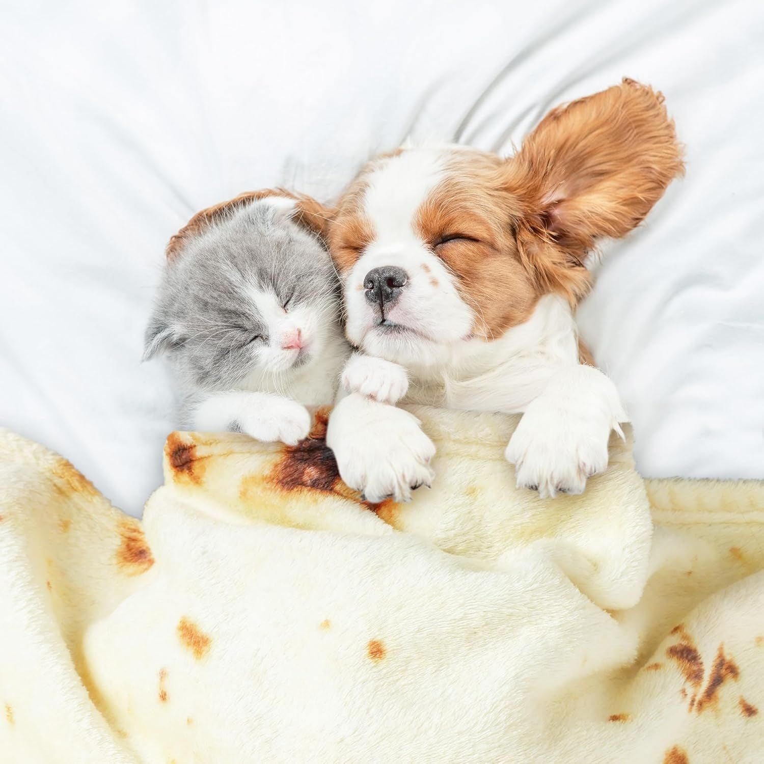 Great & Fun Gift for Everyone You Love by Zulay Kitchen