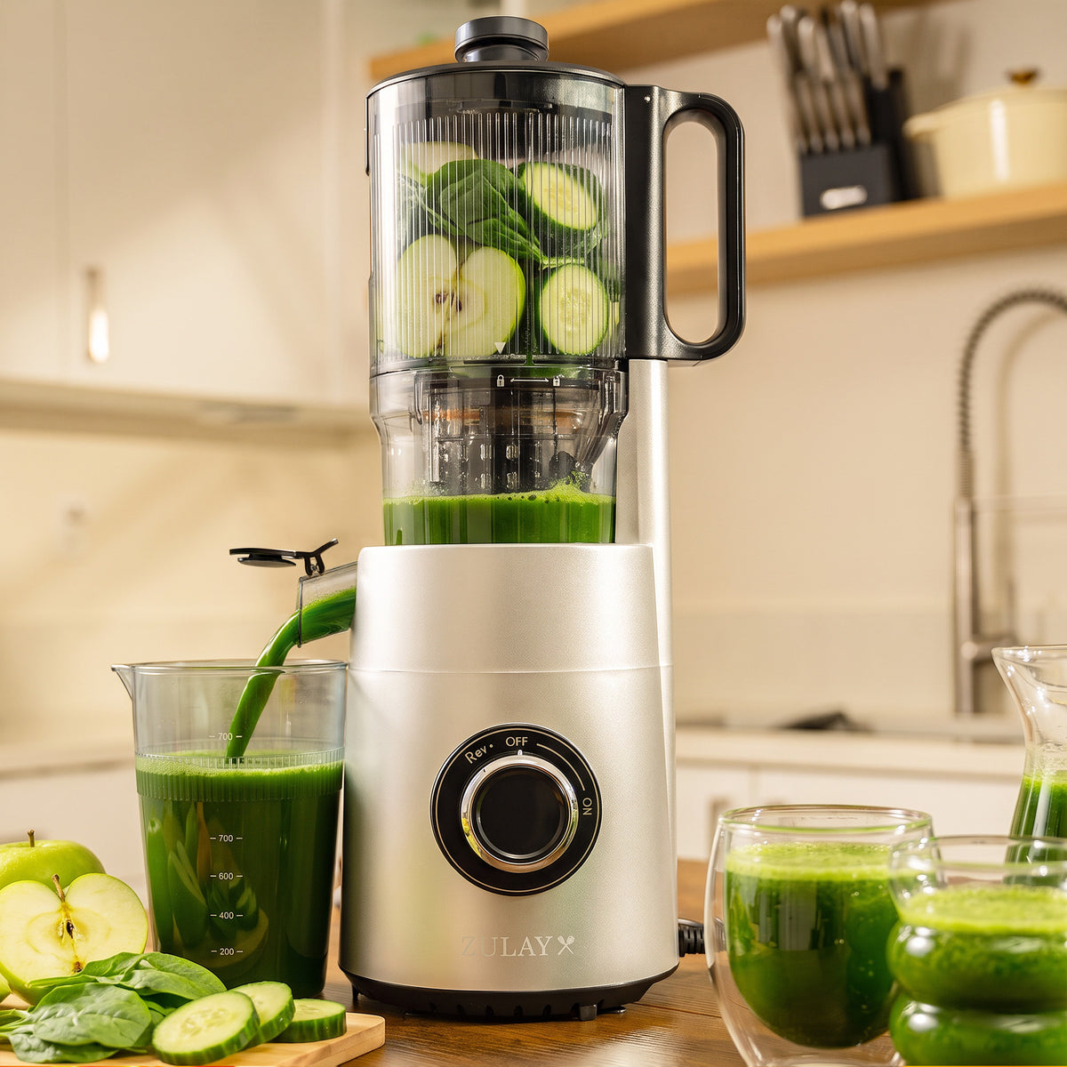 Cold Press Juicer