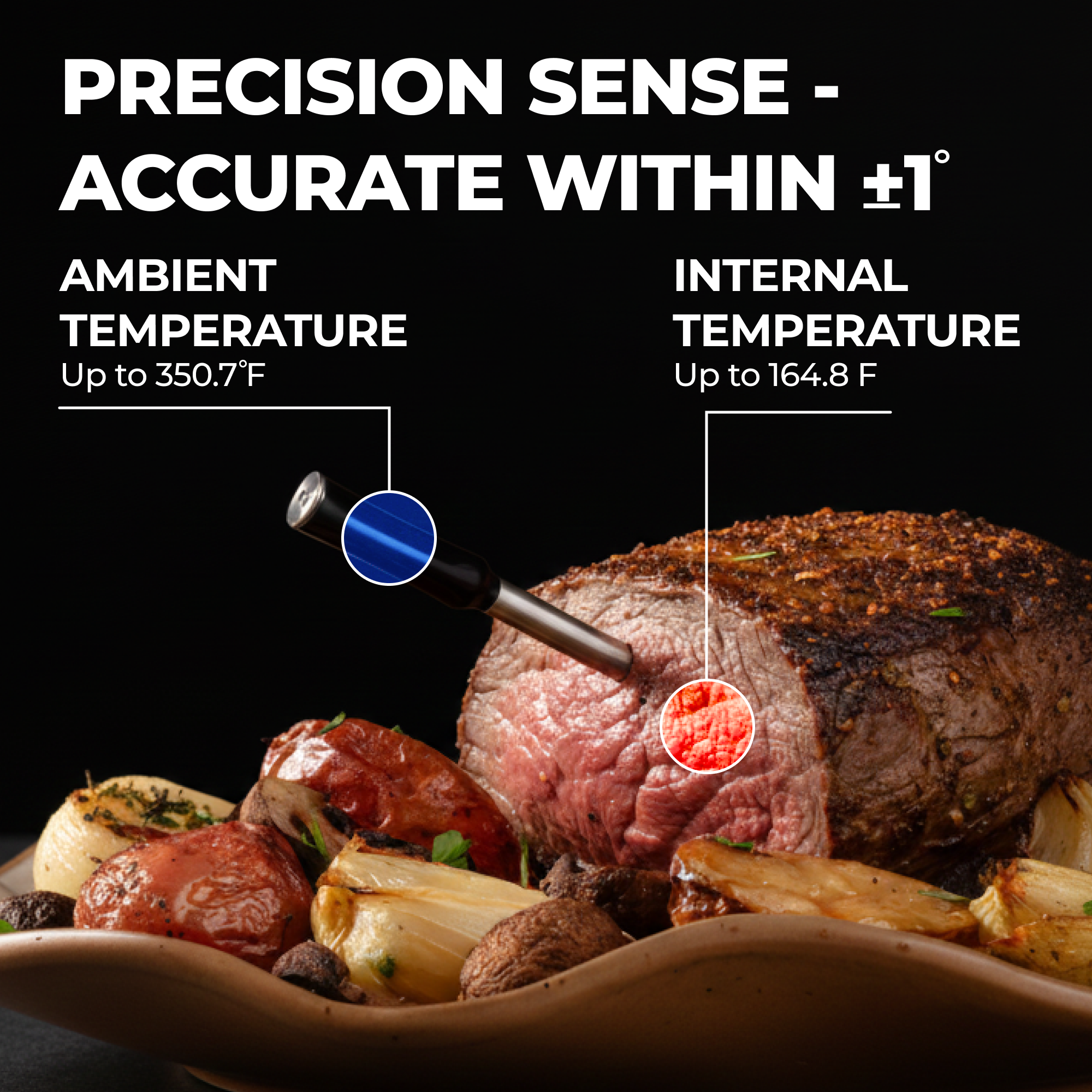 Precision Cooking Tool Meat Thermometer