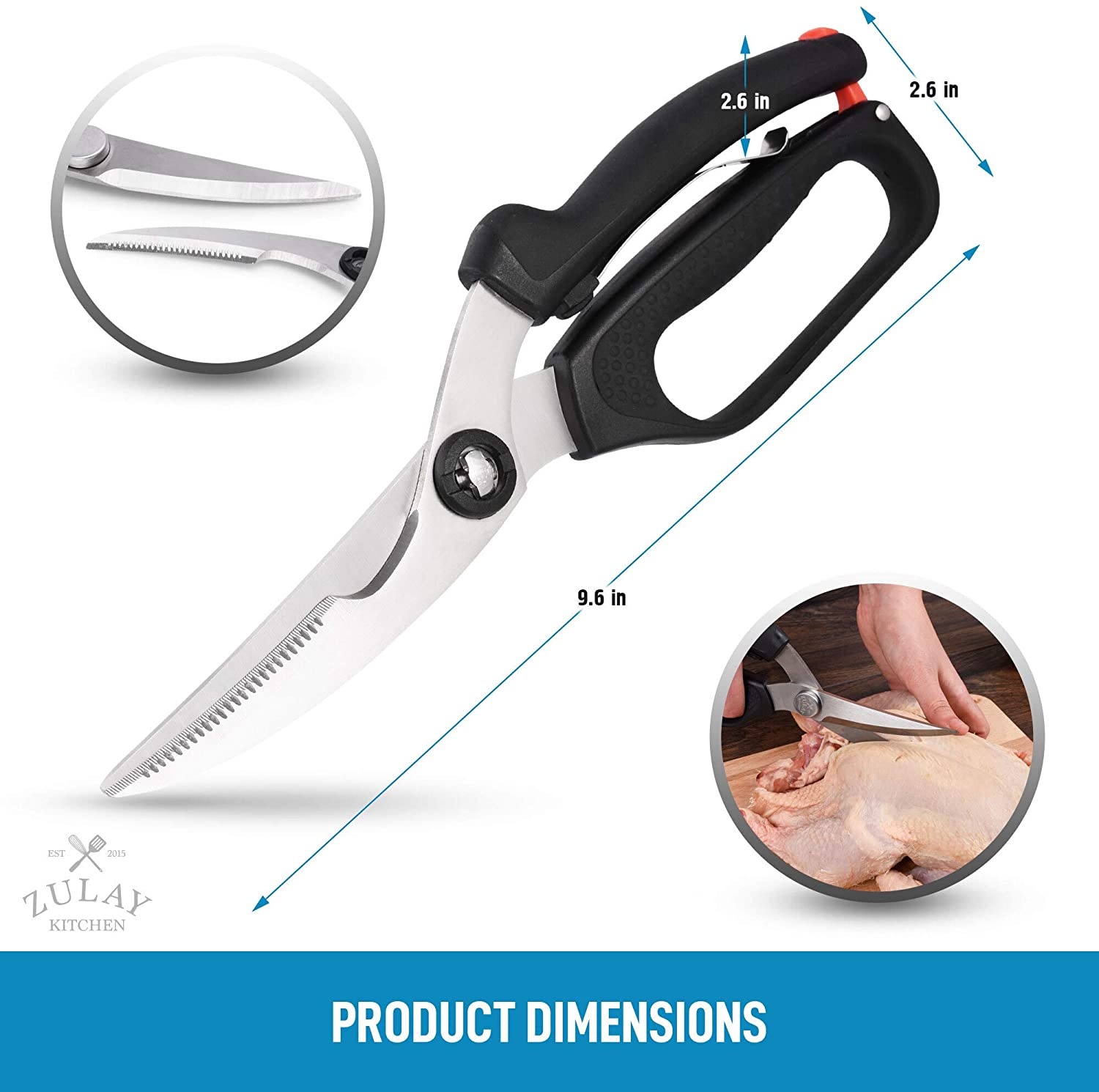 Poultry Shears Dimensions by Zulay Kitchen