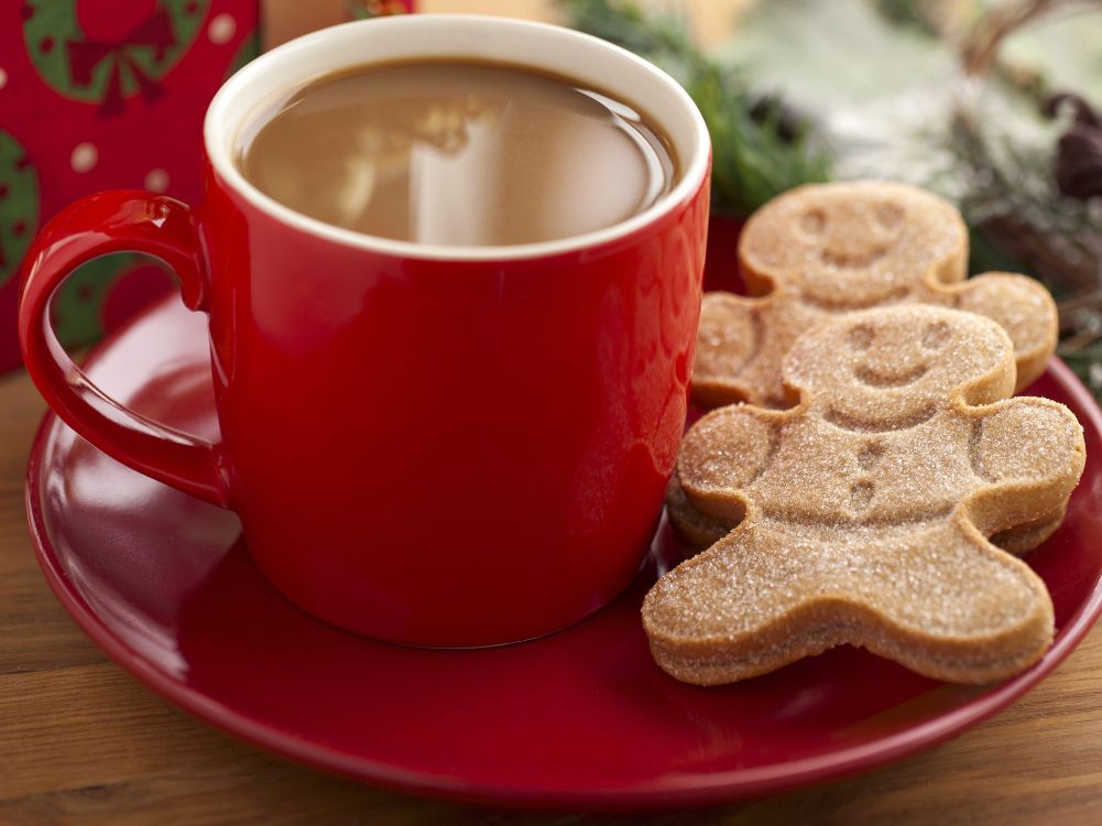 Gingerbread spiced homemade hot cocoa mug