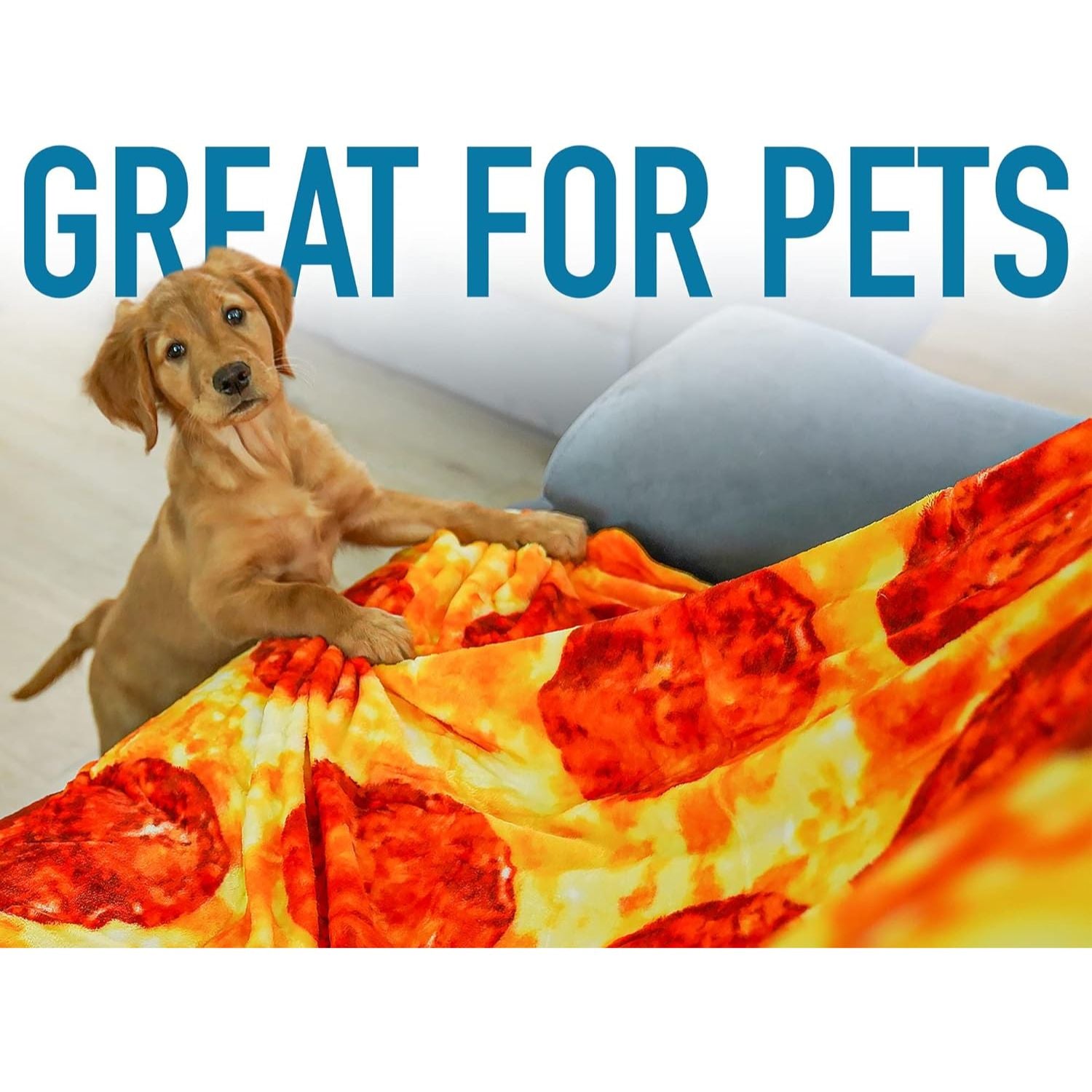 this Novelty Big Pizza Blanket is great for pets