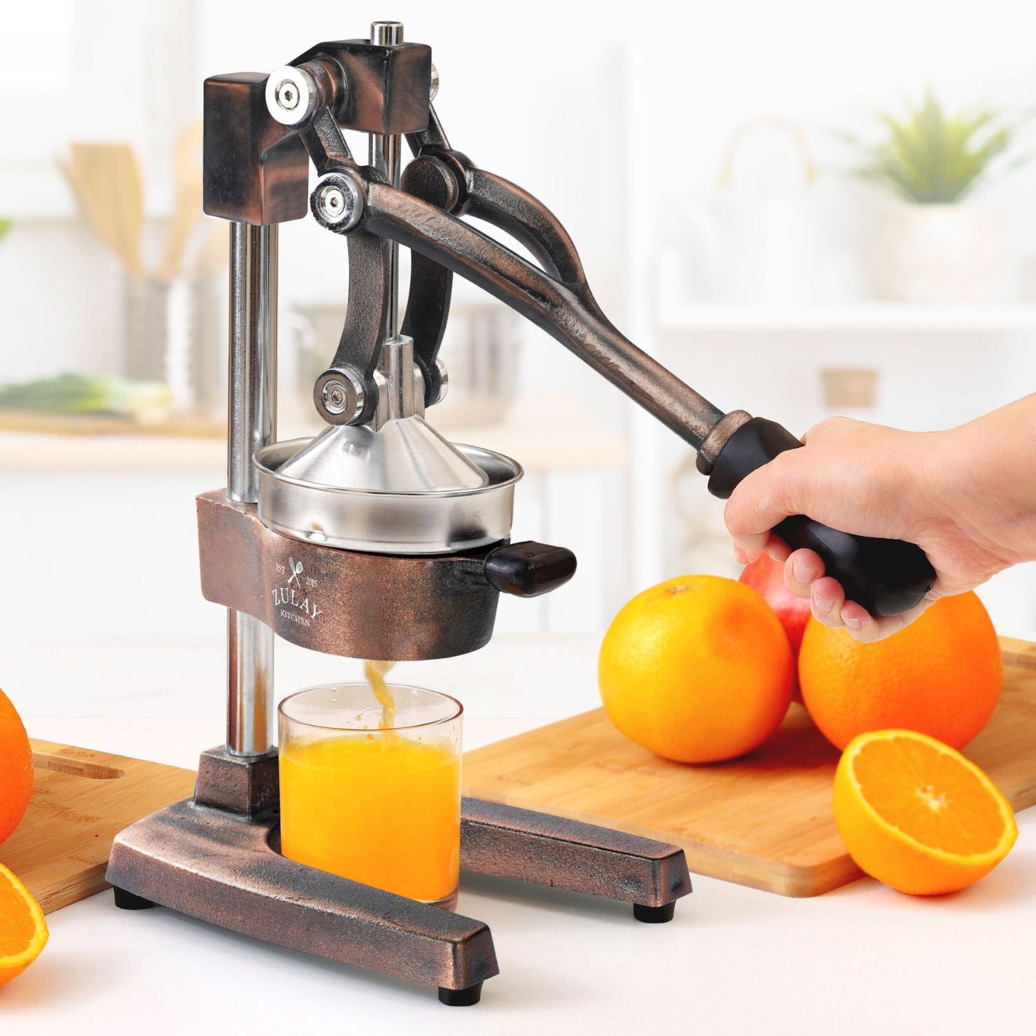 Hand Press Manual Juicer Home Restaurant Fruit Juice Squeezer