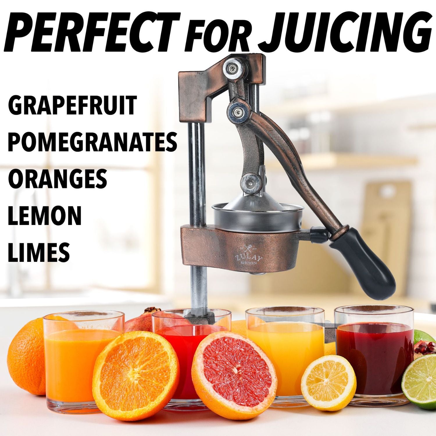Heavy Duty Commercial Grade Hand Press Manual Citrus Fruit Juice Squeezer