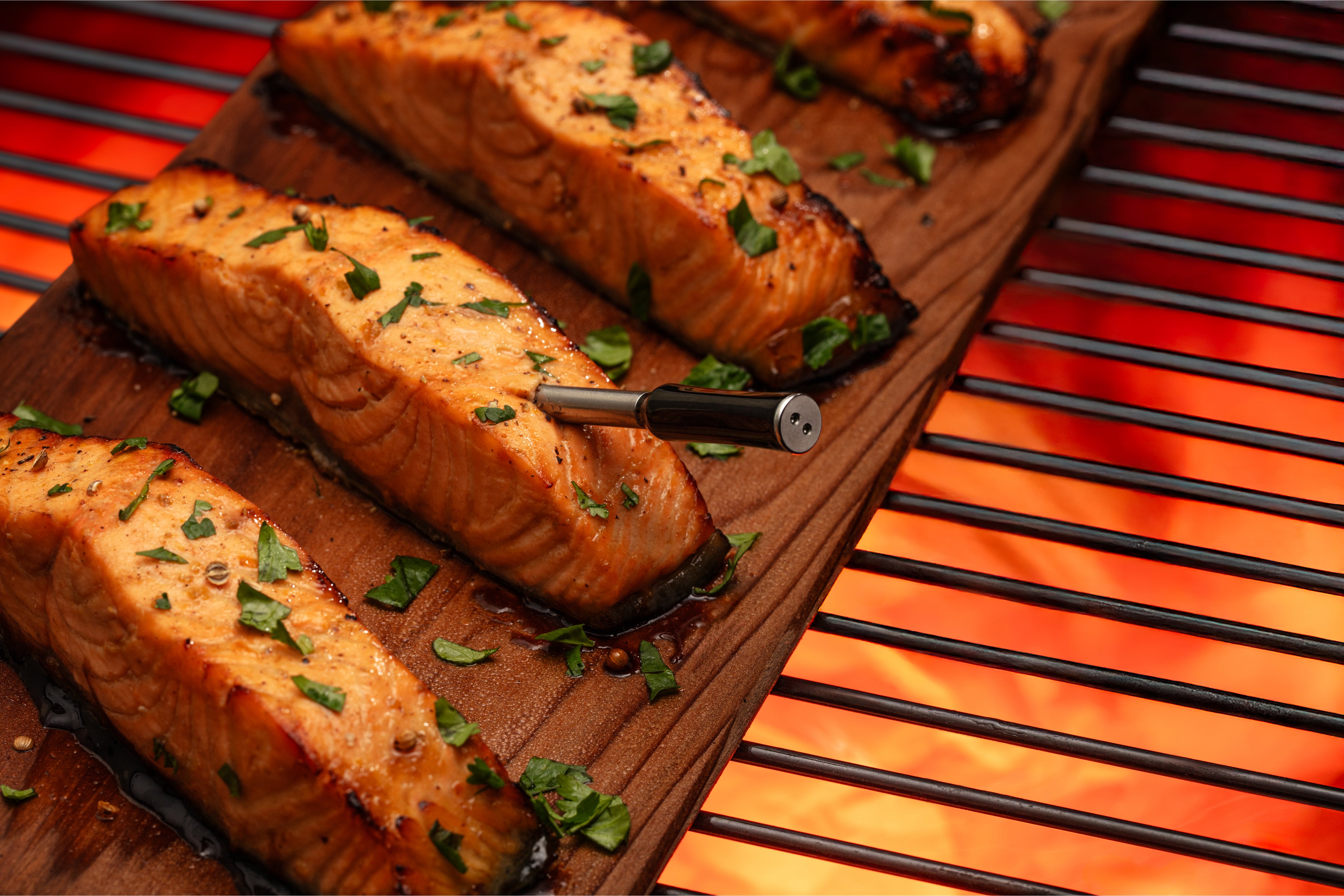 Grilled salmon fillets on a wooden board over a glowing grill. with a probe of a grill tech wireless meat thermometer