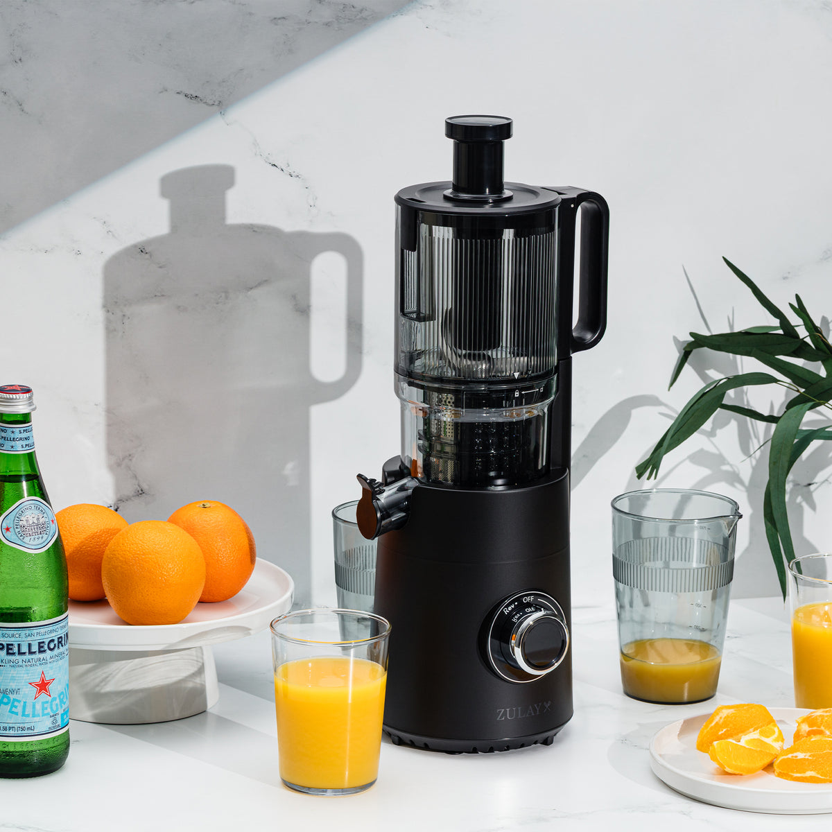 Zulay Kitchen cold press masticating juicer black