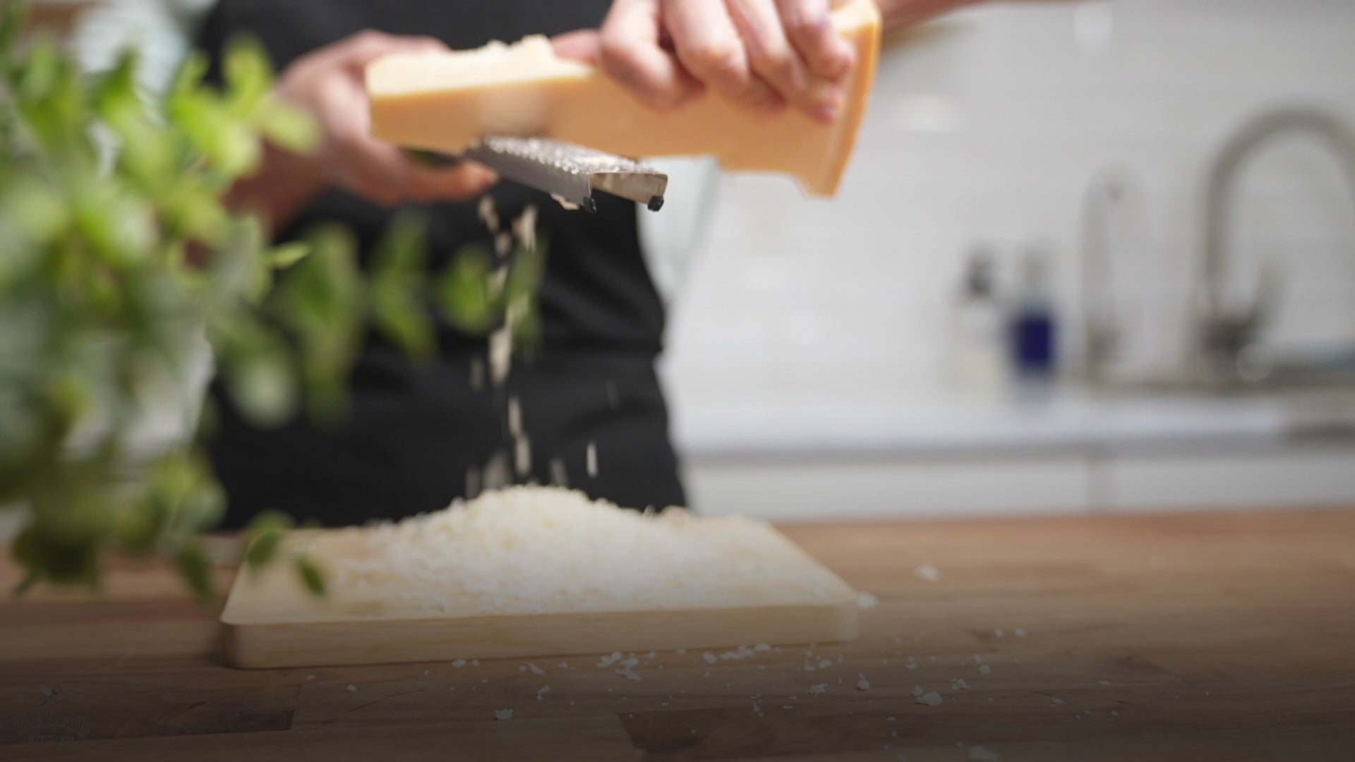 Zester Grater