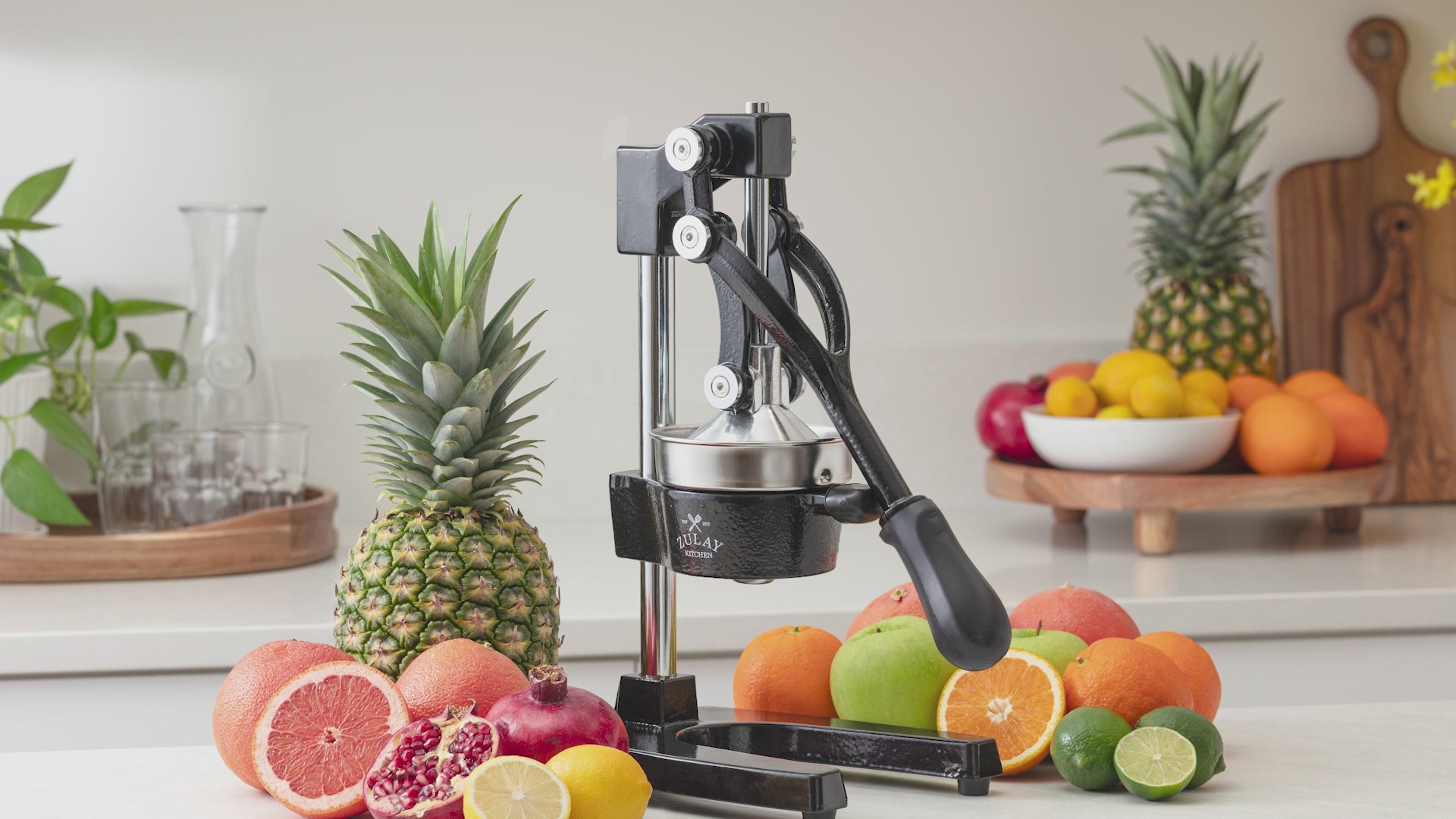 Cast Iron Juicer - Thumbnail 2